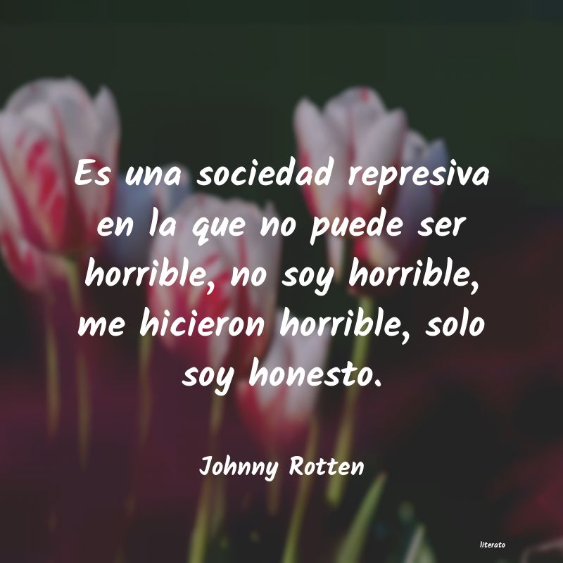 Frases de Johnny Rotten
