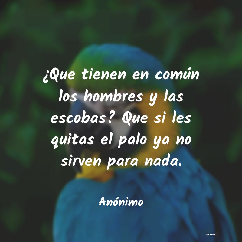 frases