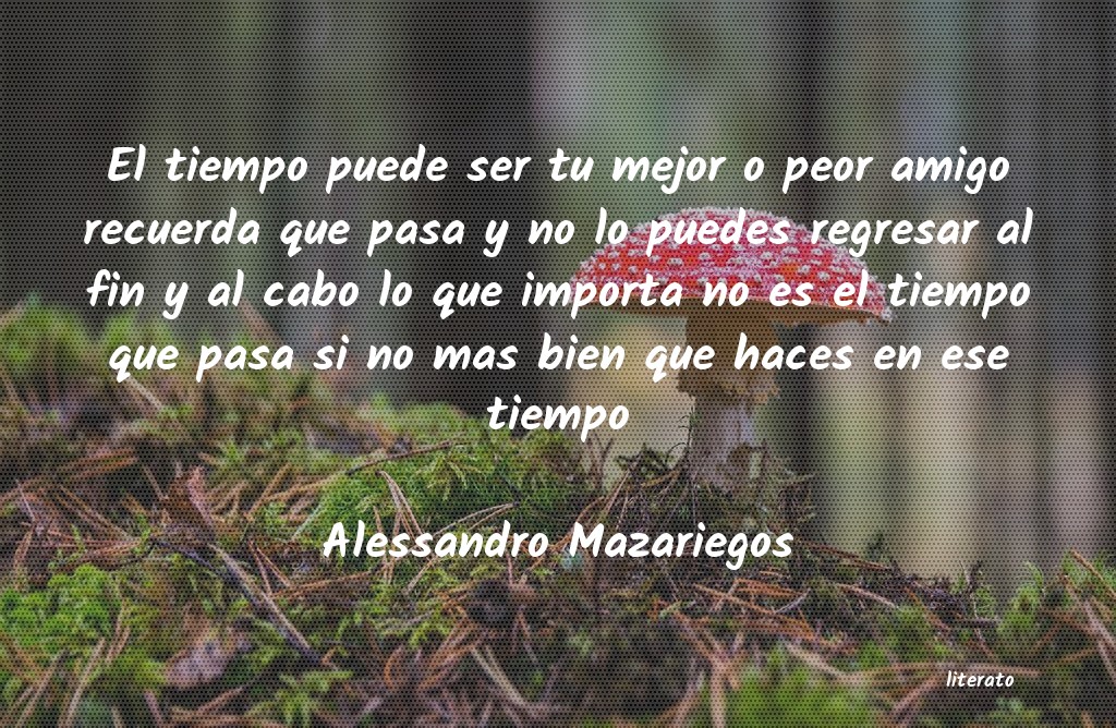 Frases de Alessandro Mazariegos