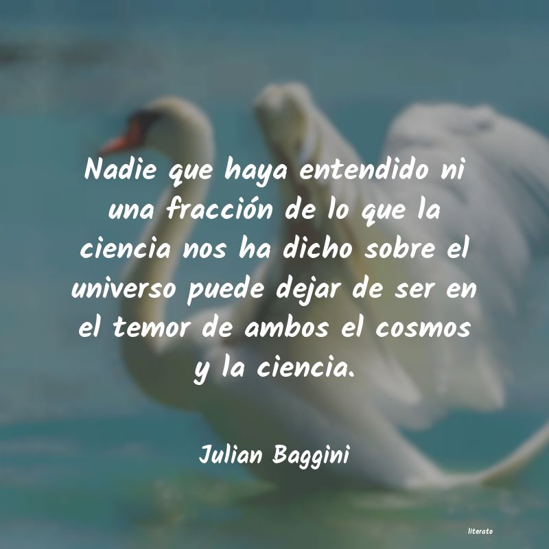 Frases de Julian Baggini