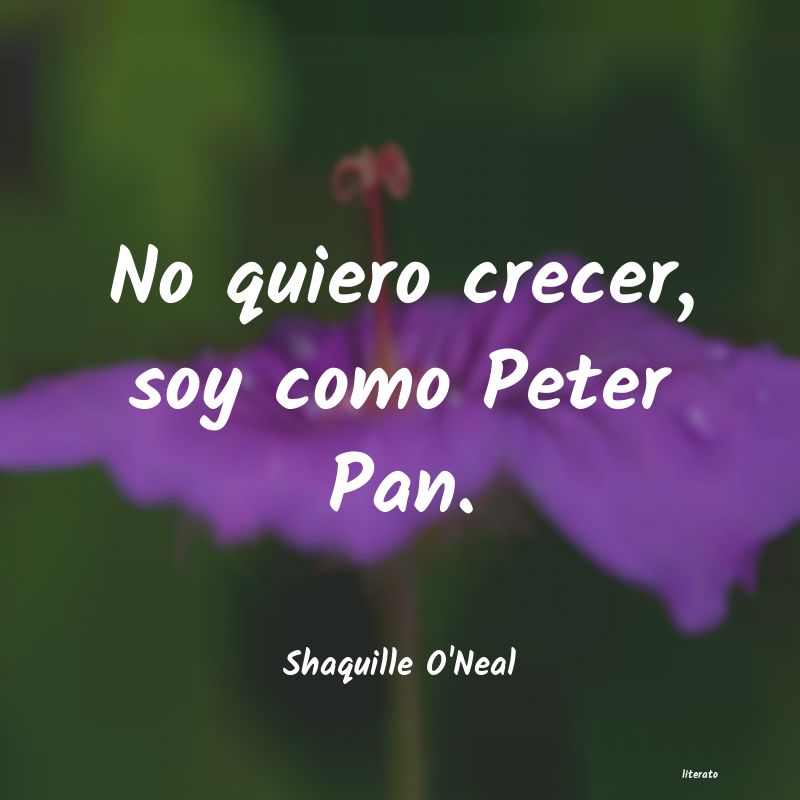 frases de Shaquille O'Neal