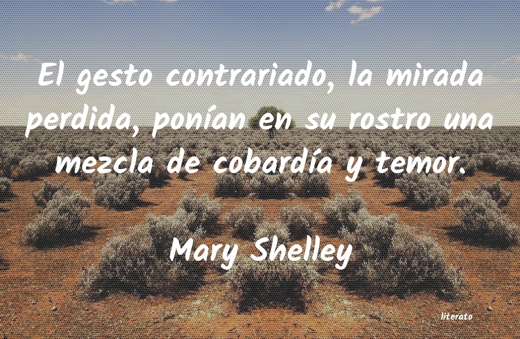frases de Mary Shelley