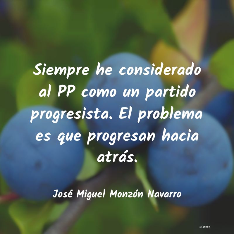 frases de José Miguel Monzón Navarro