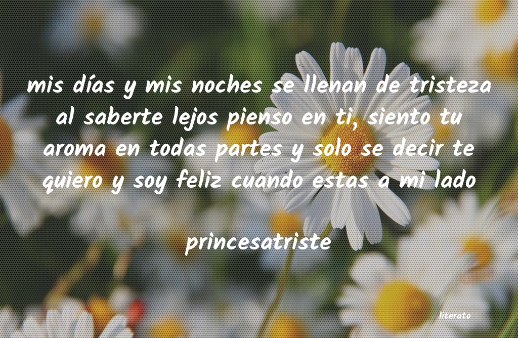 Frases de princesatriste