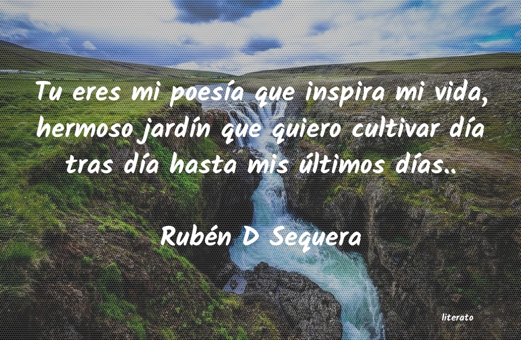frases de Rubén D Sequera