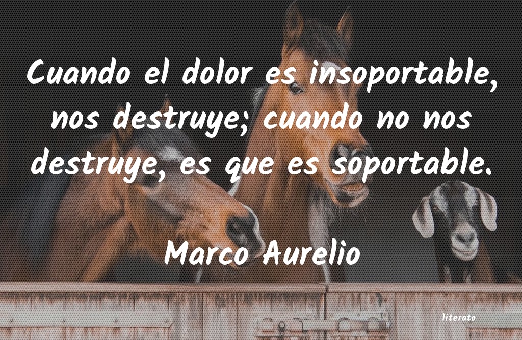 frases de Marco Aurelio