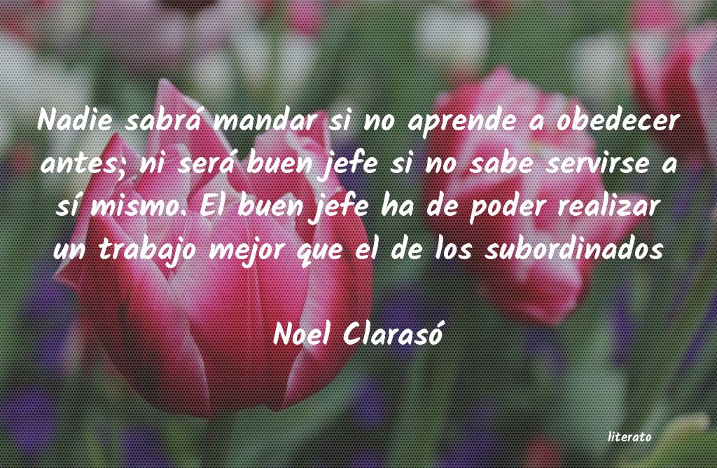 Frases de Noel Clarasó