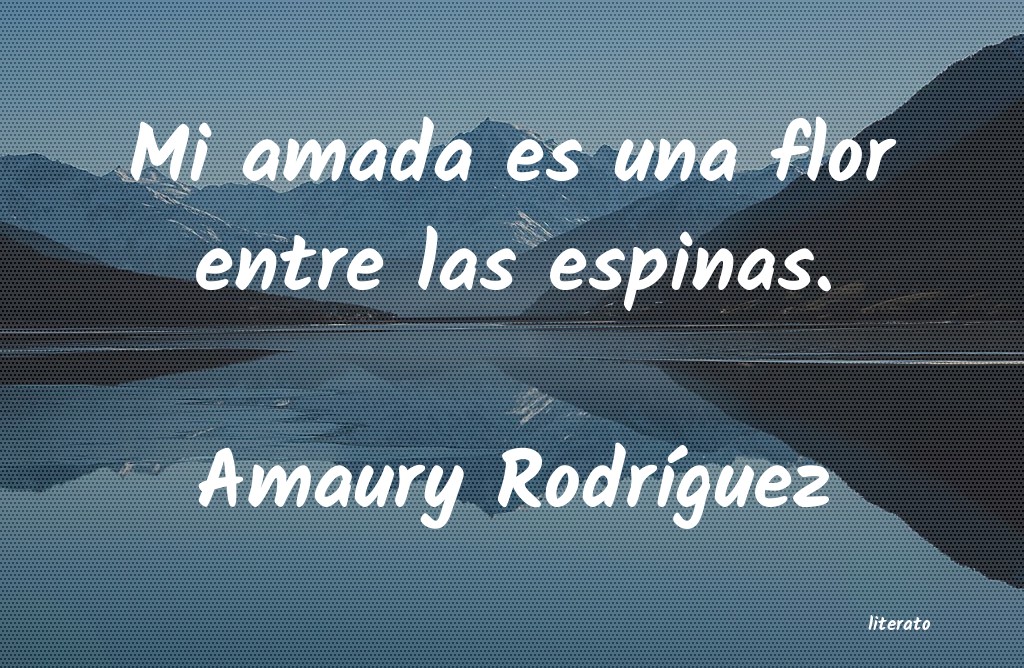 frases de Amaury RodrÃ­guez