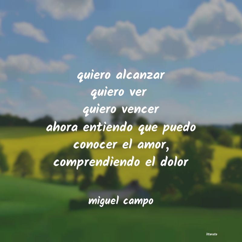 Frases de miguel campo