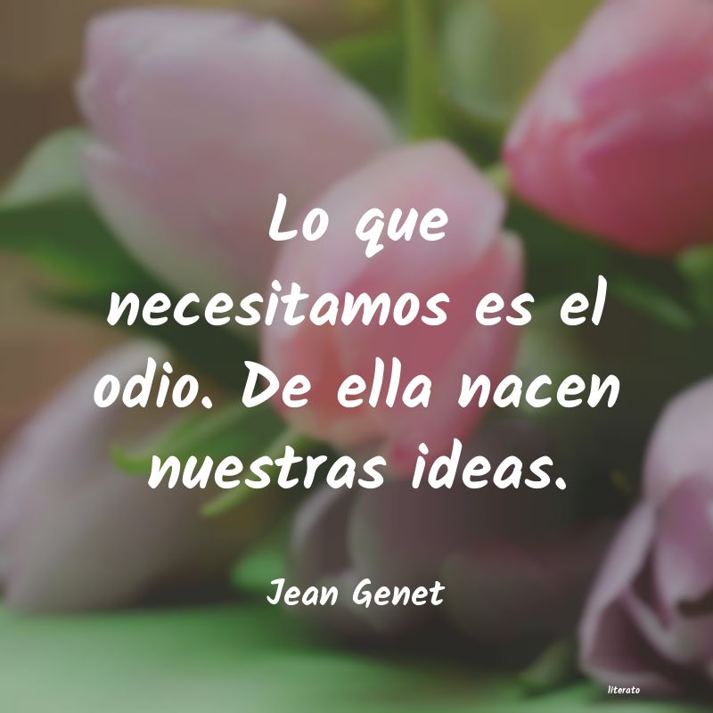 Frases de Jean Genet