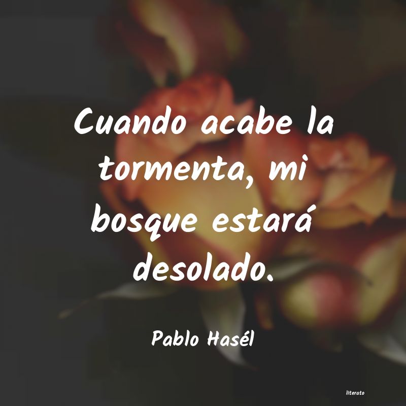 Frases de Pablo Hasél