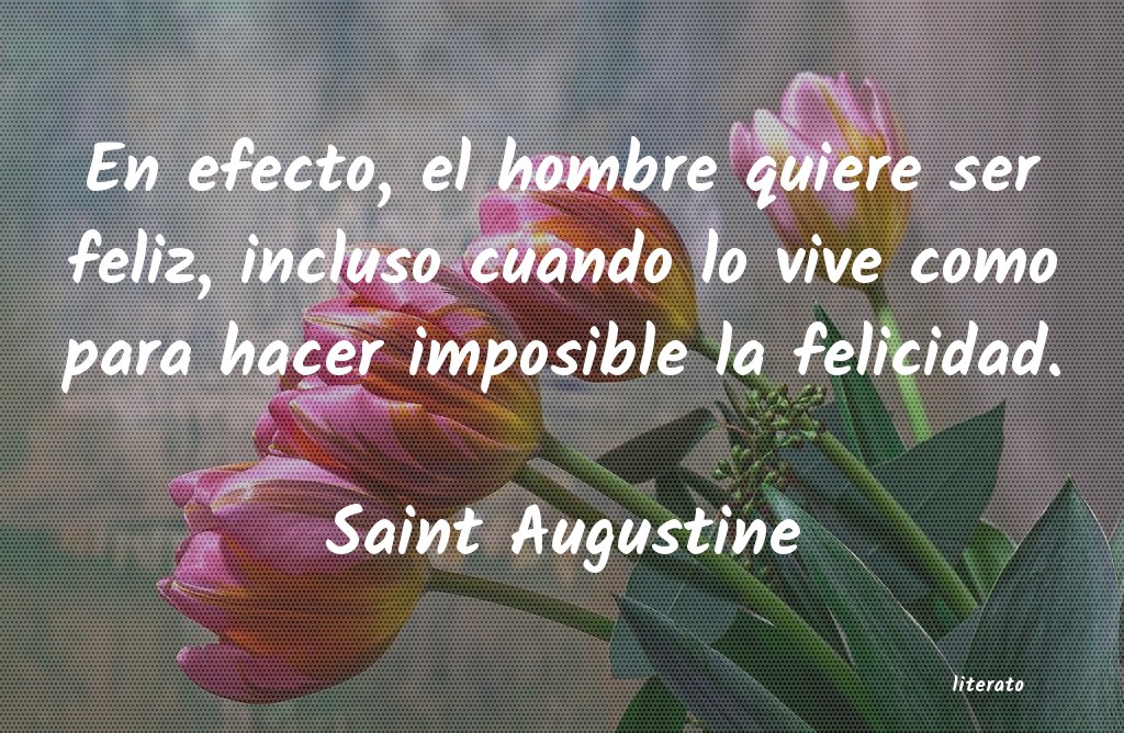 Frases de Saint Augustine