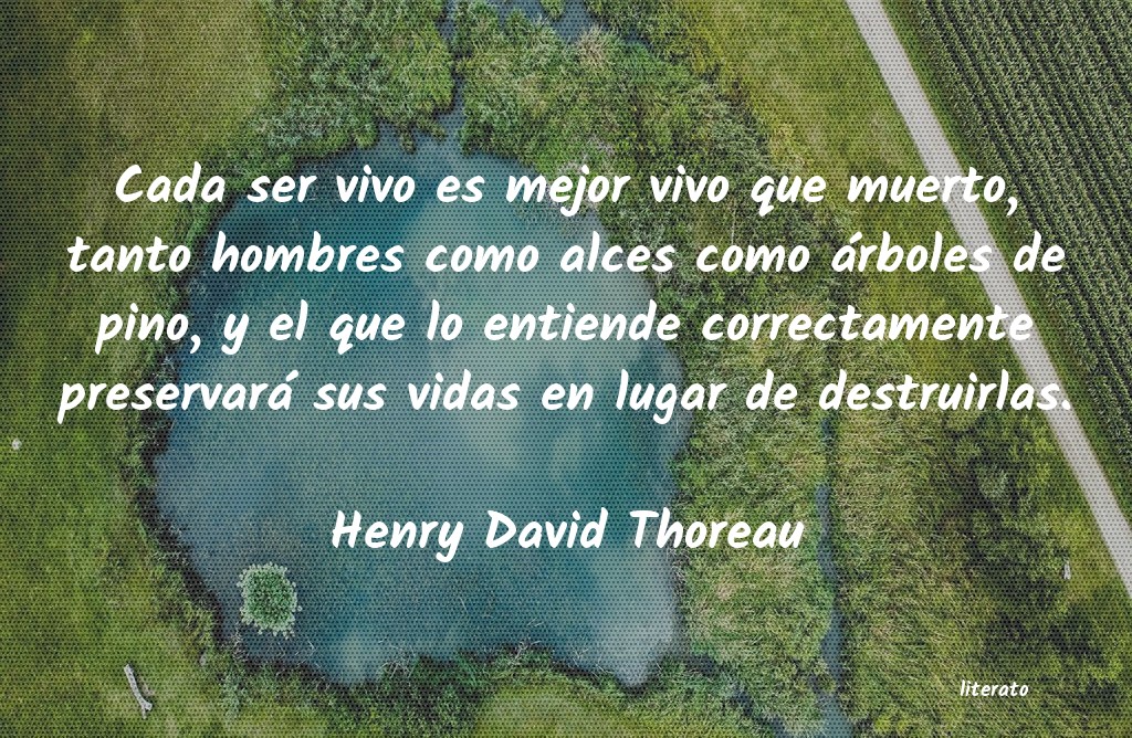 frases de Henry David Thoreau