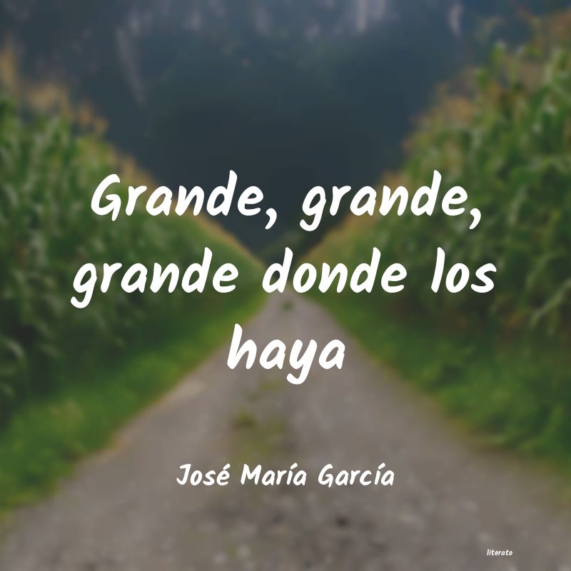 frases de José MarÃa GarcÃa