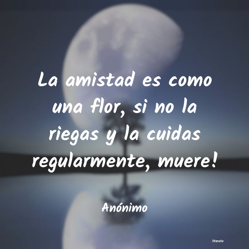 frases