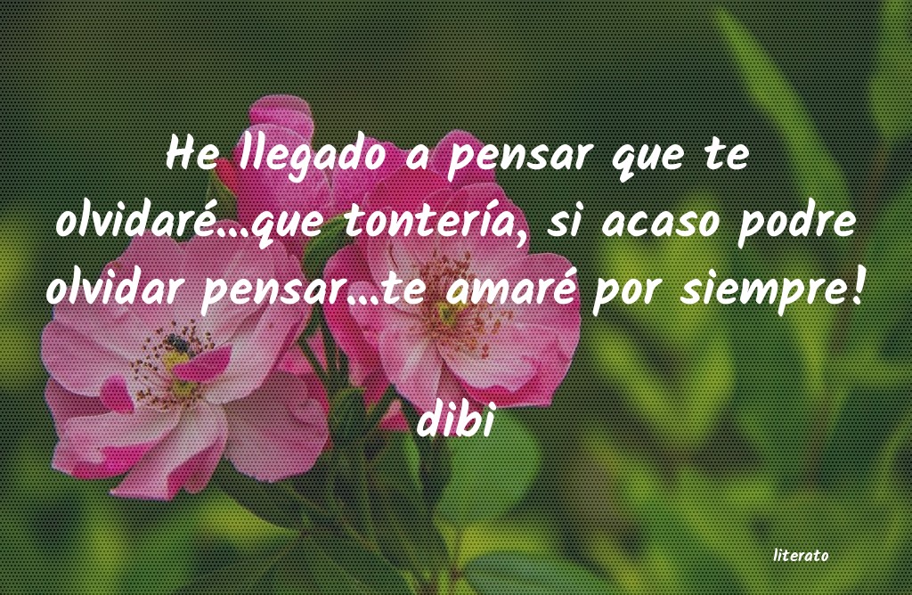 frases de dibi
