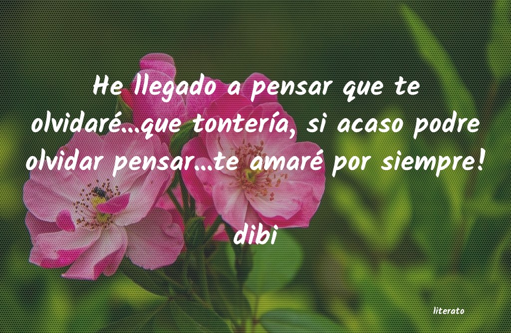 Frases de dibi