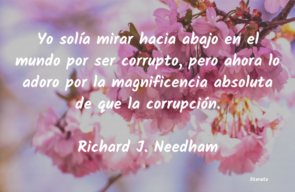 frases de Richard J. Needham