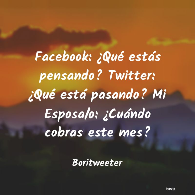 Frases de Boritweeter