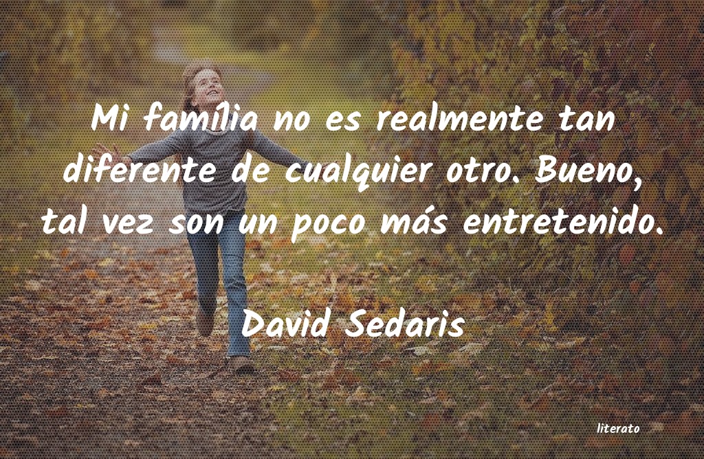 frases de David Sedaris