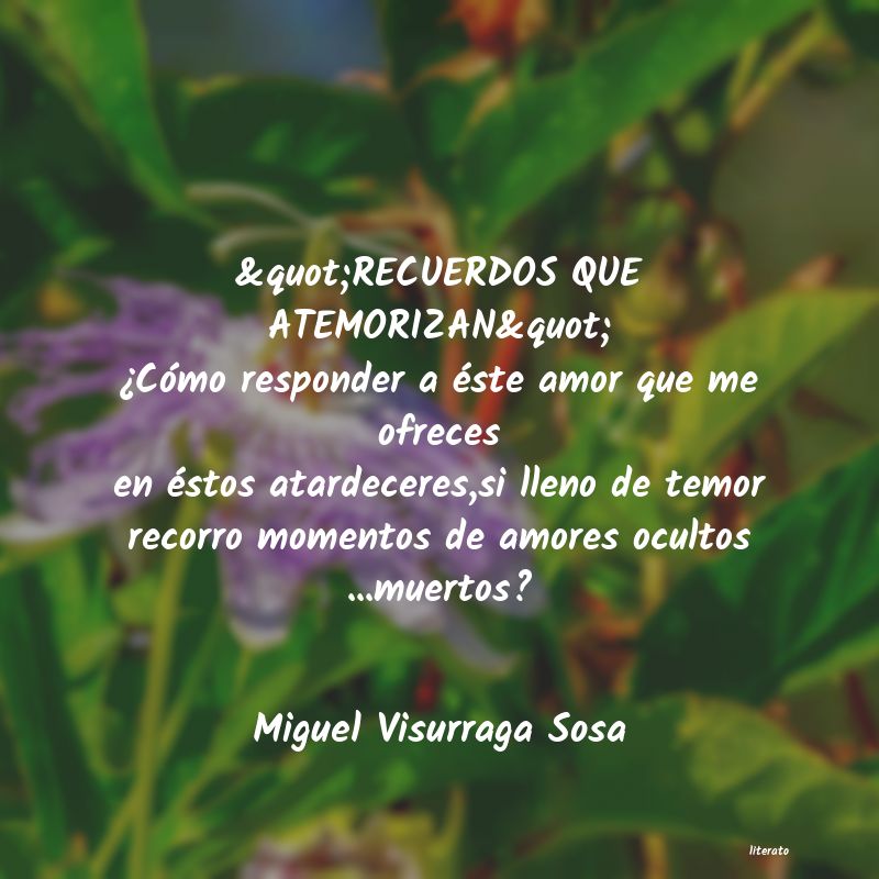 Frases de Miguel Visurraga Sosa