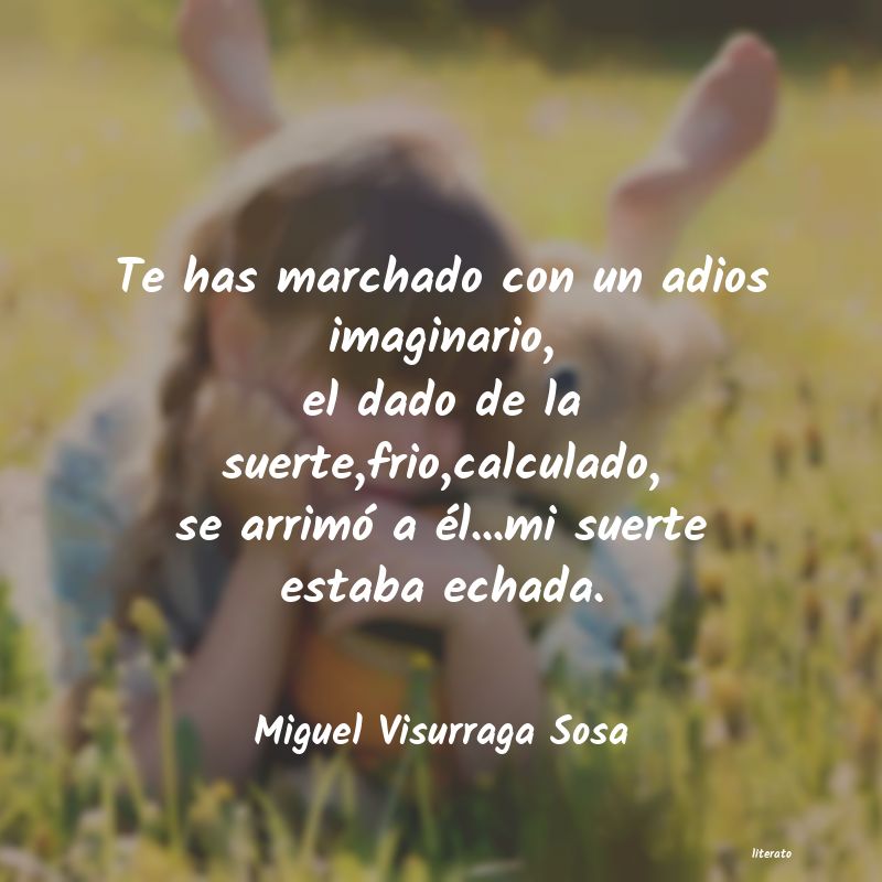 frases de Miguel Visurraga Sosa