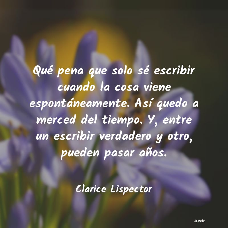 Frases de Clarice Lispector