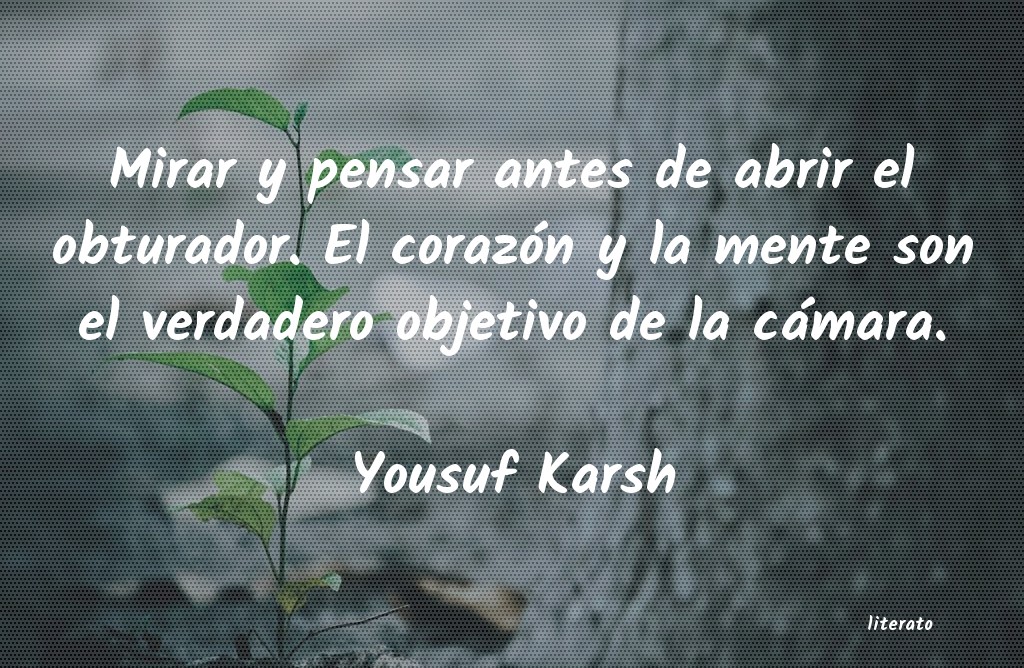 Frases de Yousuf Karsh