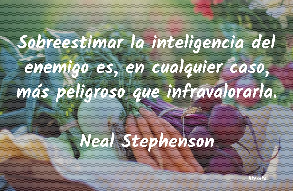 Frases de Neal Stephenson