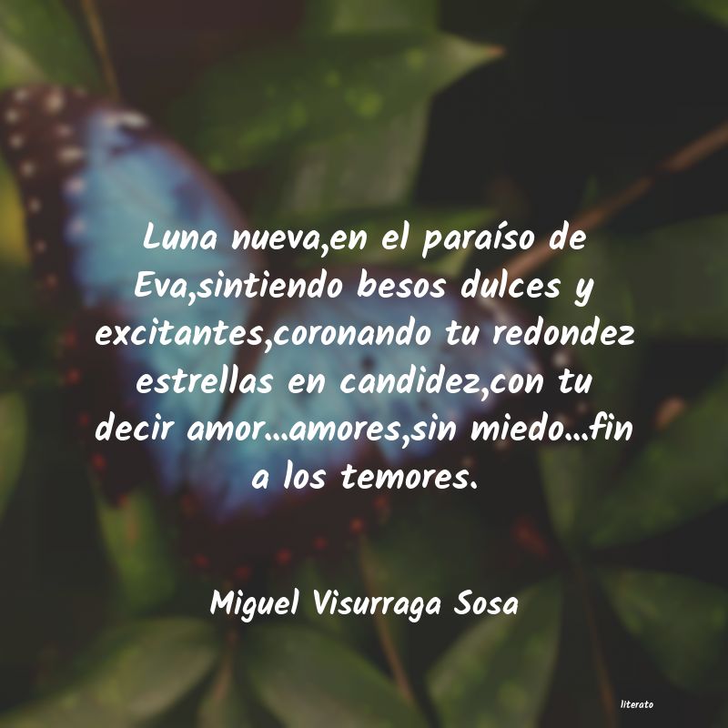 frases de Miguel Visurraga Sosa