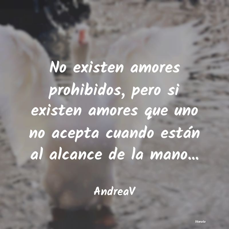 Frases de amor prohibido - Literato