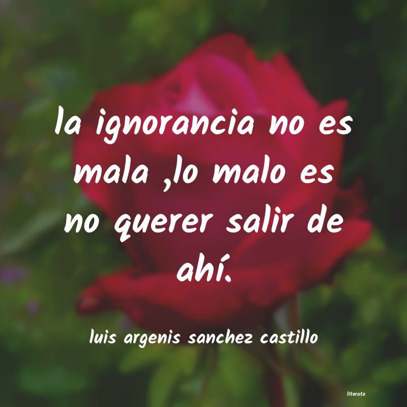 Frases de luis argenis sanchez castillo