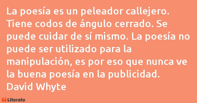 Frases de David Whyte