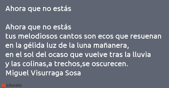 Frases de Miguel Visurraga Sosa