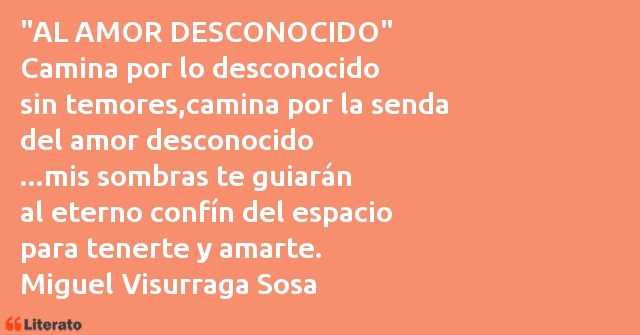 Frases de Miguel Visurraga Sosa