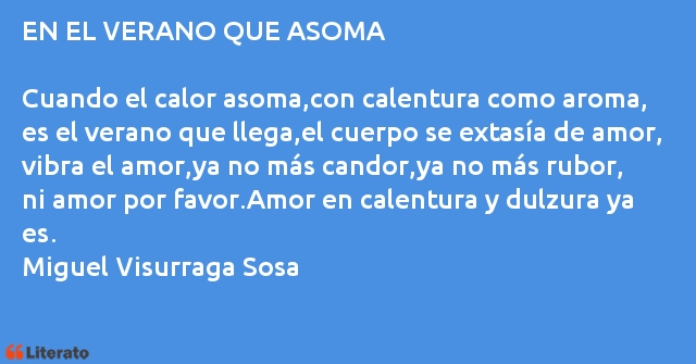 Frases de Miguel Visurraga Sosa