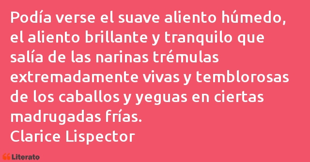 Frases de Clarice Lispector