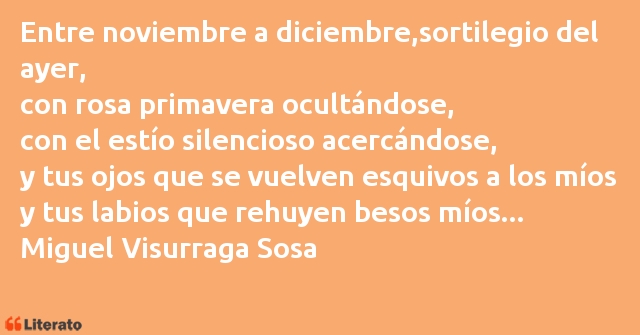 Frases de Miguel Visurraga Sosa