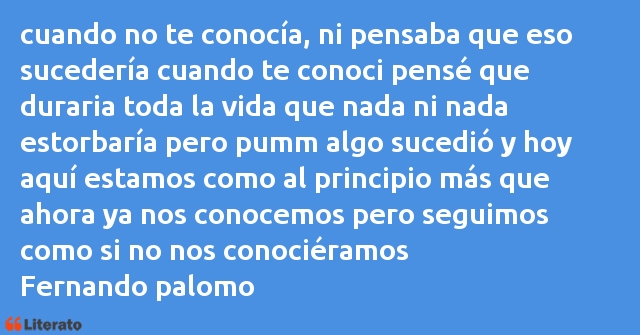 Frases de Fernando palomo