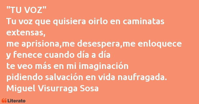 Frases de Miguel Visurraga Sosa