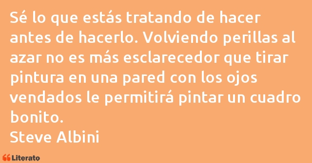 Frases de Steve Albini