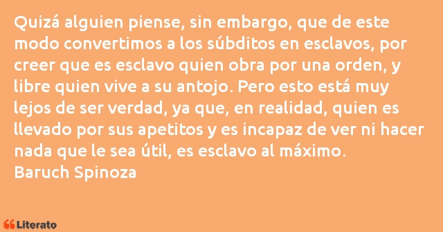 Frases de Baruch Spinoza