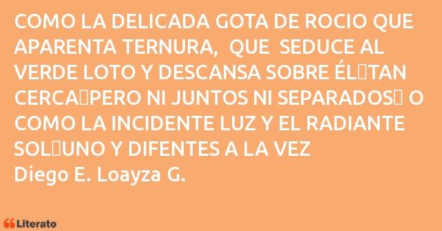 Frases de Diego E. Loayza G.