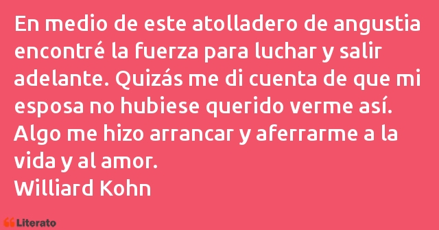 Frases de Williard Kohn