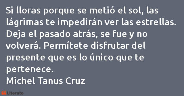 Frases de Michel Tanus Cruz