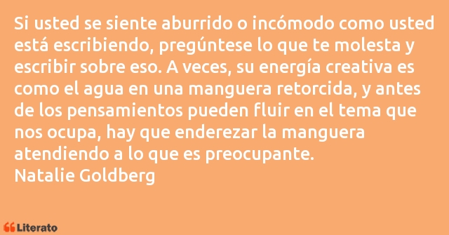 Frases de Natalie Goldberg