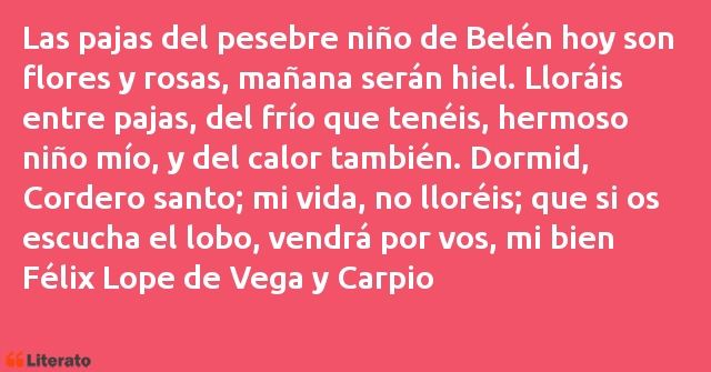 Frases de Félix Lope de Vega