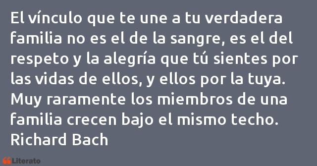 Frases de Richard Bach