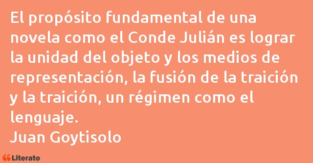 Frases de Juan Goytisolo