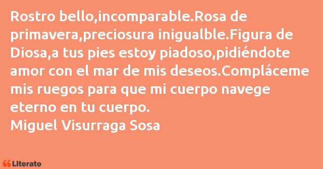 Frases de Miguel Visurraga Sosa